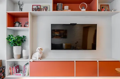 Estante de TV planejada com nichos coloridos em sala reformada — Santos SP